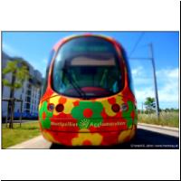 Montpellier Sabines 2013-06-14.jpg